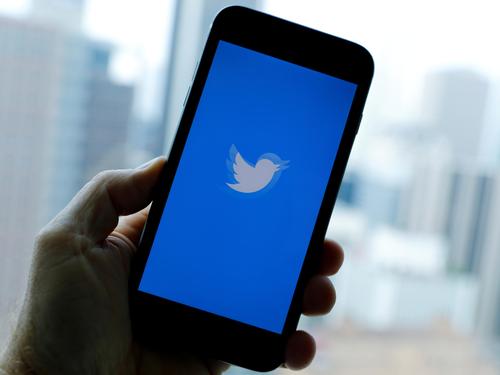 A Tweet About The Growth Of An Endangered Animal Cub Attracted Millions Of Fans 